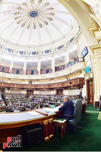 مجلس النواب (32)