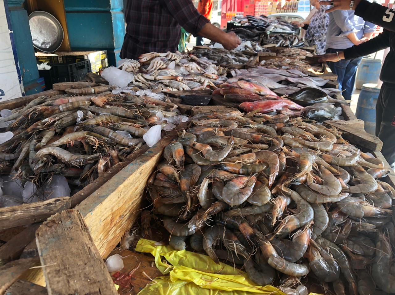 جانب من أسواق السمك (2)
