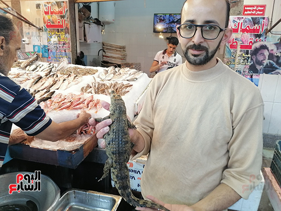 التمساح-في-يد-احمد