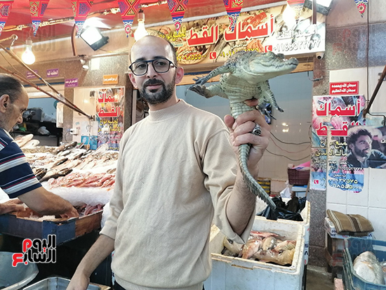 تاجر-السمك-ببورسعيد