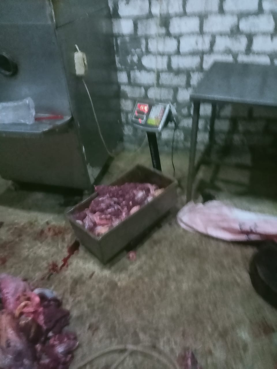 ضبط مزرعة تذبح الحمير في الإسماعيلية