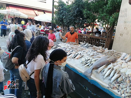 بيع-الأسماك-ببورسعيد