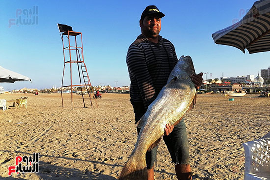 احد-الصيادين-يمسك-بسمكة-لاج-على-الشاطئ