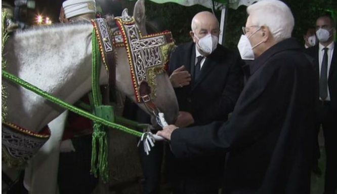 الرئيس الجززائرى يهدى رئيس ايطاليا حصانا عربيا