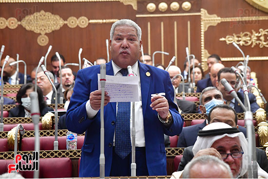 جلسة مجلس الشيوخ برئاسة المستشار عبد الوهاب عبد الرزاق رئيس المجلس (30)