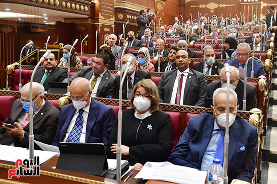 جلسة مجلس الشيوخ برئاسة المستشار عبد الوهاب عبد الرزاق رئيس المجلس (36)