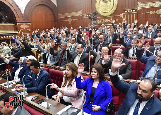  الجلسة العامة لمجلس الشيوخ  (21)