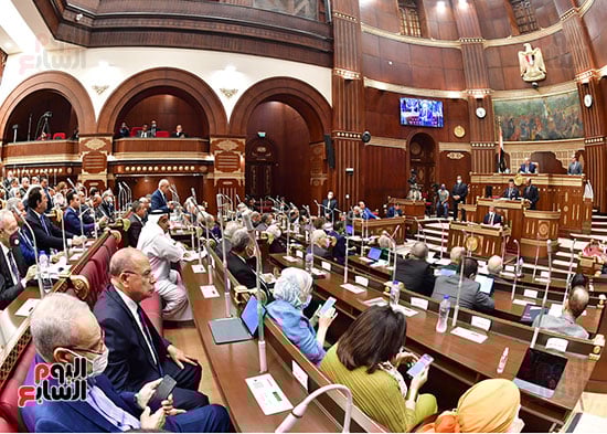  الجلسة العامة لمجلس الشيوخ  (15)