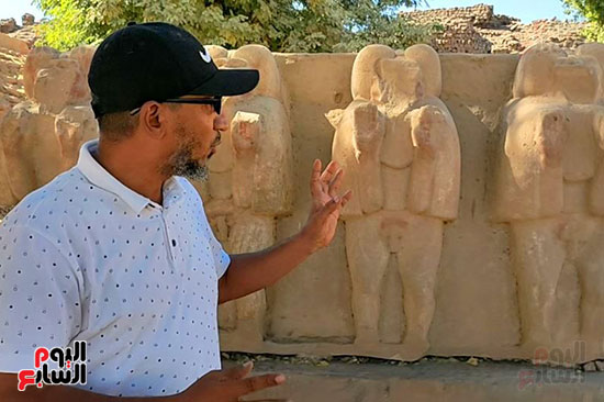 مدير-معابد-الكرنك-يشرح-تاريخ-قرود-البابون-بالحضارة-المصرية-القديمة