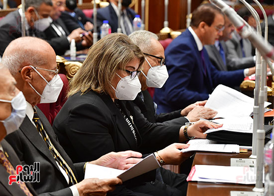  الجلسة العامة لمجلس الشيوخ  (7)
