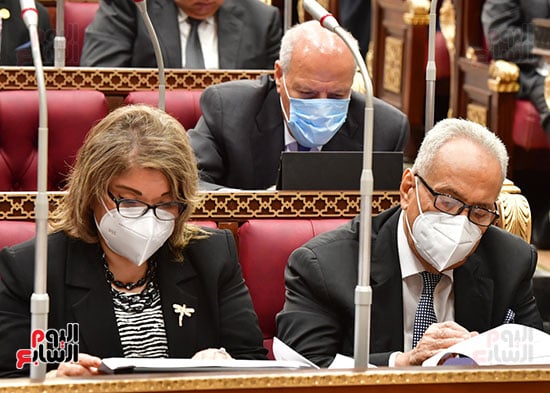  الجلسة العامة لمجلس الشيوخ  (11)