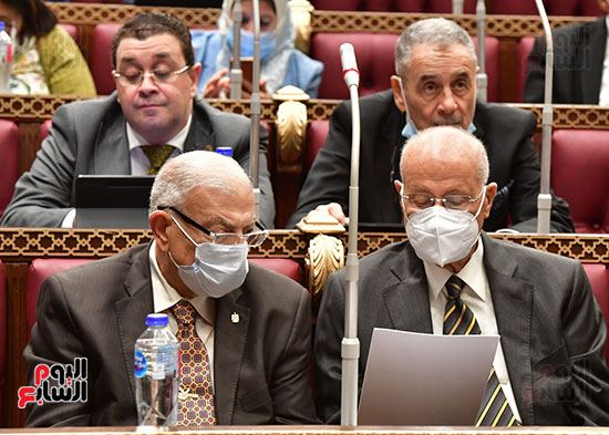  الجلسة العامة لمجلس الشيوخ  (10)