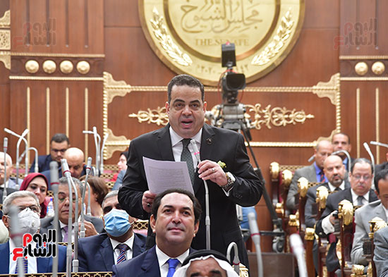  الجلسة العامة لمجلس الشيوخ  (5)