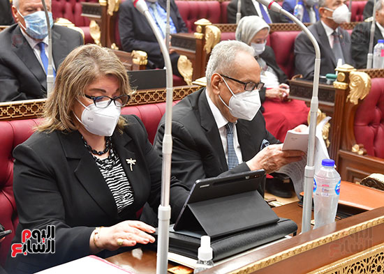  الجلسة العامة لمجلس الشيوخ  (3)