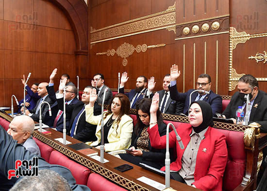  الجلسة العامة لمجلس الشيوخ  (19)