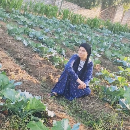 رانيا فريد شوقى