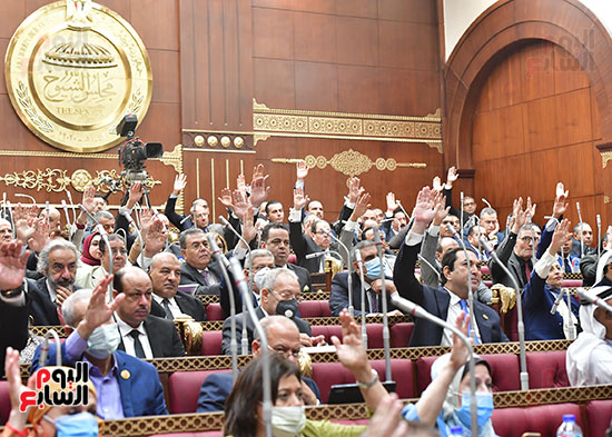  الجلسة العامة لمجلس الشيوخ  (6)