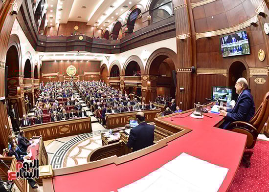  الجلسة العامة لمجلس الشيوخ  (14)