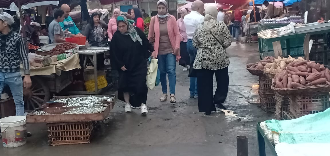 سوق سمك الاسكندرية_1