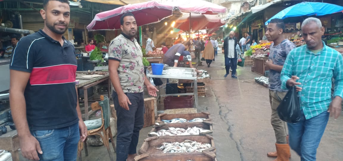 سوق السمك بالاسكندرية_1