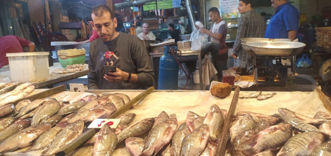 بيع السمك بالاسكندرية