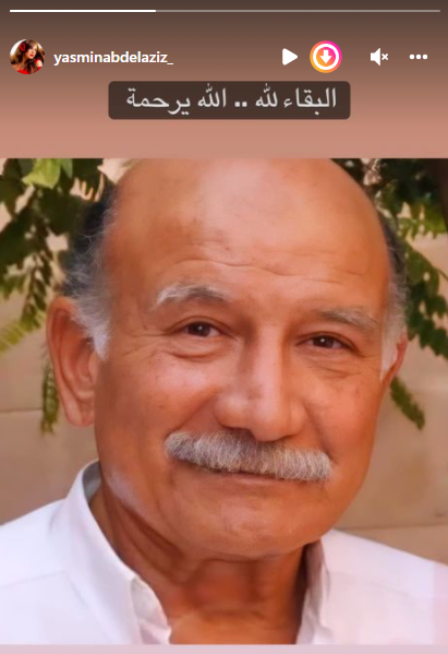 ياسمين عبد العزيز