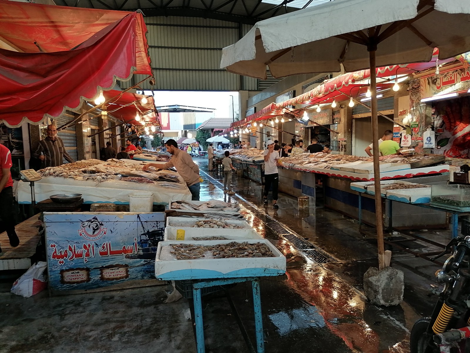 سوق الأسماك ببورسعيد