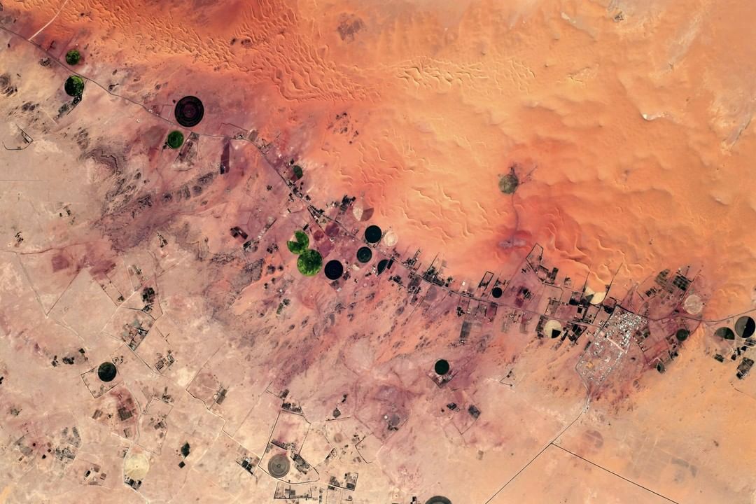 الصحراء السعودية (1)