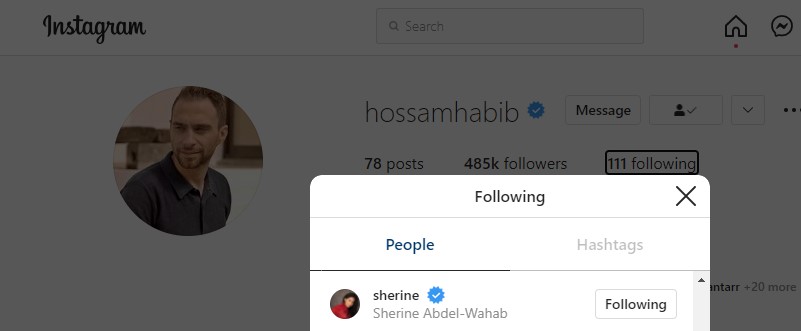 حسام حبيب يتابع شيرين على إنستجرام