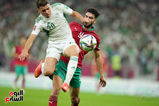 مباراة المغرب والجزائر (4)