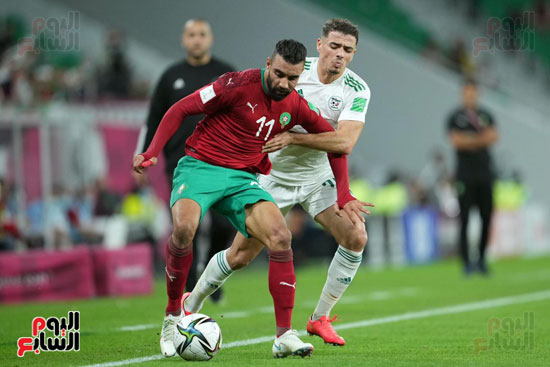 المغرب - الجزائر (12)