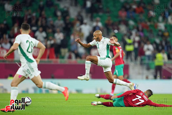 مباراة المغرب والجزائر (6)