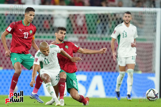المغرب - الجزائر (16)
