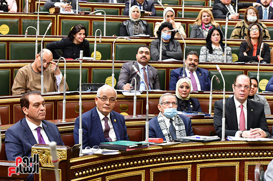 الجلسة العامة لمجلس النواب (23)