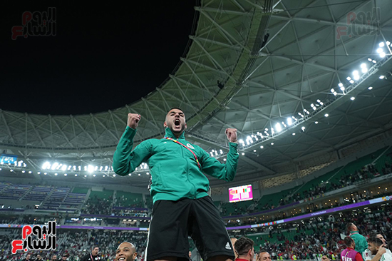 فرحه منتخب الجزائر (15)