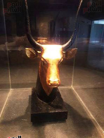 تمثال-راس-البقرة-الذهبى-داخل-المتحف