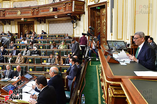 الجلسة العامة لمجلس النواب (17)