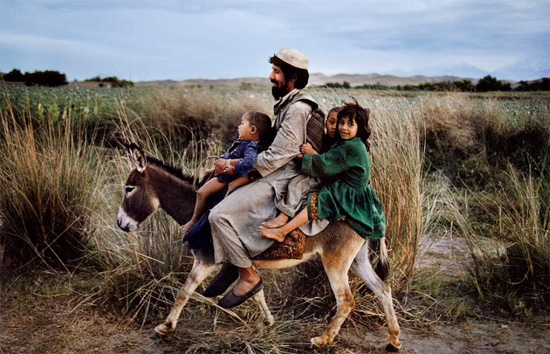 عائلة تركب حمارًا في أفغانستان