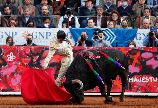 مصارع الثيران المكسيكي دييجو سان رومان يحارب ثوره الثاني