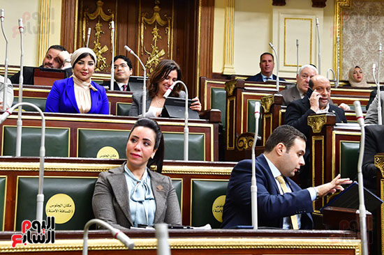 مجلس النواب (6)