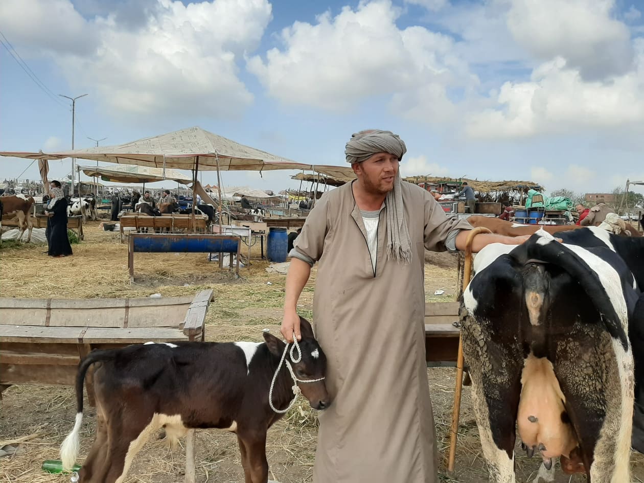 تاجر مواشى من محافظة البحيرة