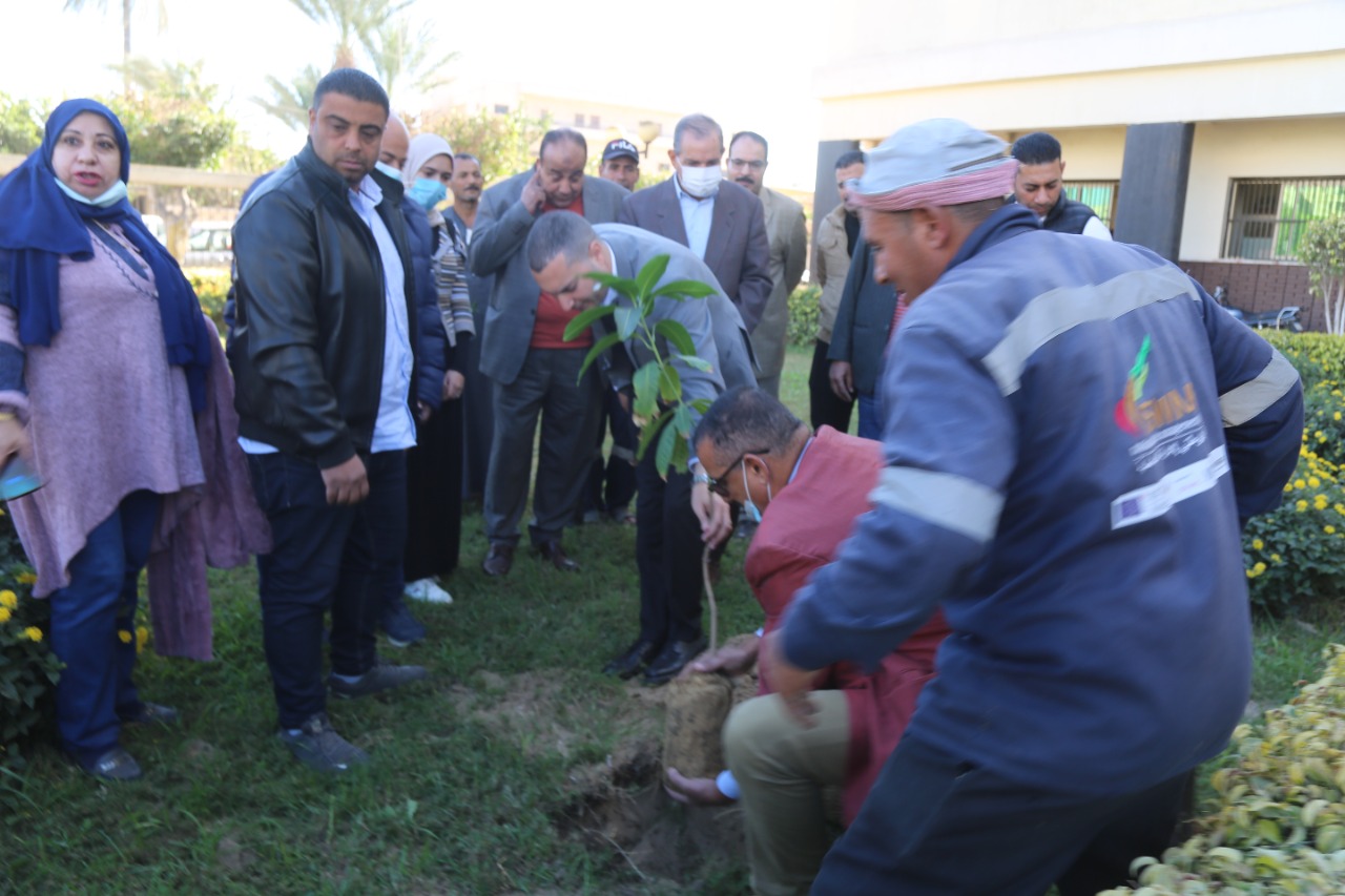 نائب محافظ كفر الشيخ يزرع الاشجار