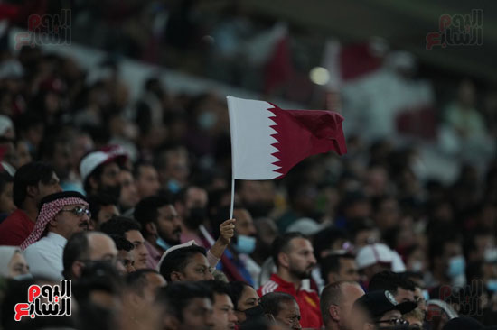 قطر والجزائر (31)