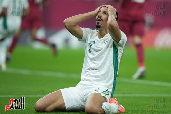 قطر والجزائر (41)