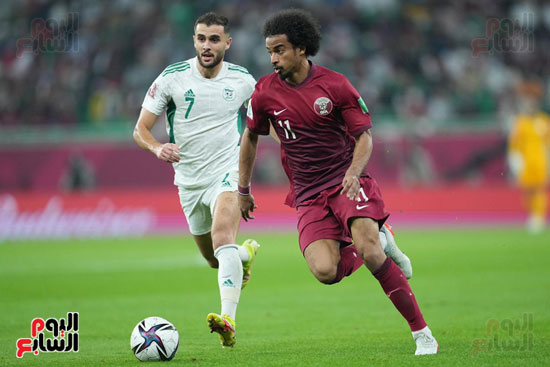 قطر والجزائر (13)