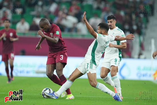 قطر والجزائر (11)