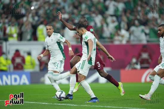 قطر والجزائر (12)