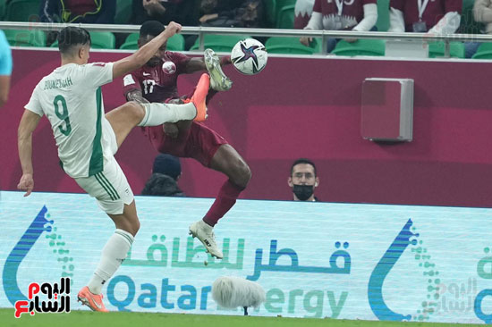 قطر والجزائر (7)
