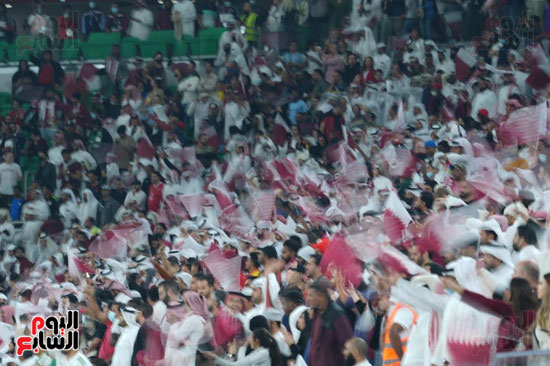 قطر والجزائر (16)