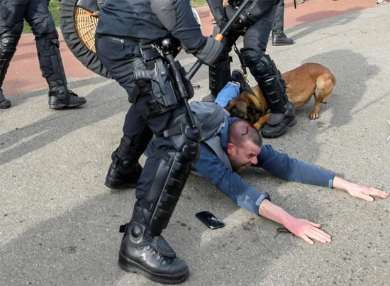 عض متظاهر من قبل كلب بوليسي أثناء قتاله مع الشرطة خلال احتجاج على قيود فيروس كورونا في لاهاي  هولندا